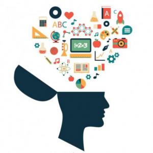 Perspectiva cognitiva del aprendizaje