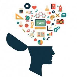 Perspectiva cognitiva del aprendizaje