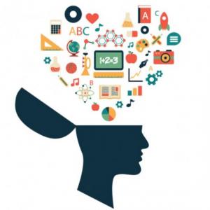 Perspectiva cognitiva del aprendizaje