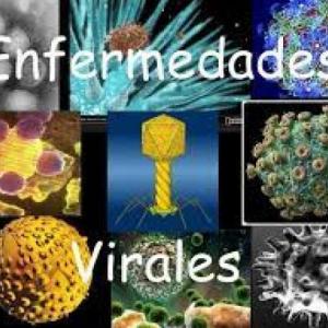 Enfermedades Virales