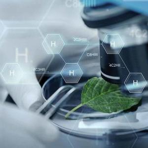 Oca Biología. 