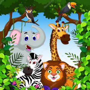 Animales de la Selva