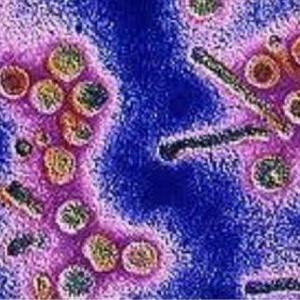 INFECCIONES POR RICKETTSIAS