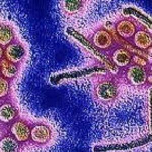 INFECCIONES POR RICKETTSIAS