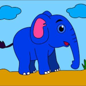 animales