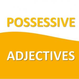 POSSESSIVE ADJECTIVES
