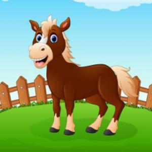 Don Percheron