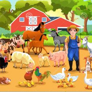 Animales de la Granja