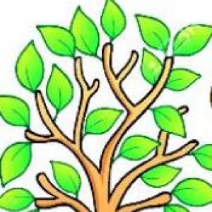Portada del juego Burlas por defectos – Artes