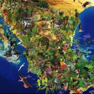 Patrones y tipos de biodiversidad