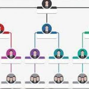Organigrama estructural
