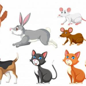 LOS ANIMALES