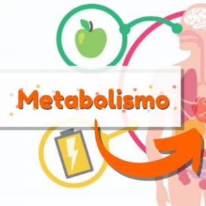 Metabolismo