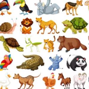 Imagen de portada del videojuego educativo: Animales, de la temática Cultura general