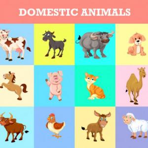 animales domesticos