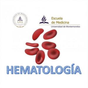 Imagen de portada del videojuego educativo: Ensayo pre-parcial Hematología, de la temática Salud