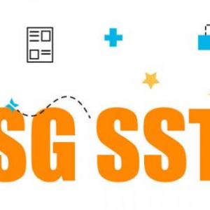 sistema de gestion en seguridad y salud en el trabajo