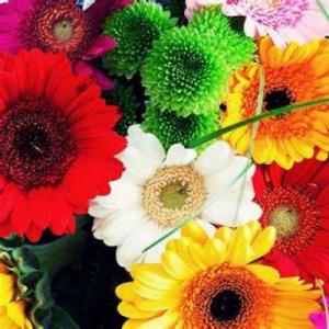 duchazo de flores
