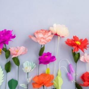 Flores