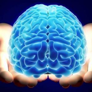 Imagen de portada del videojuego educativo: Juego de la Oca Neuroanatomía de la didáctica, de la temática Biología