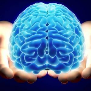 Imagen de portada del videojuego educativo: Juego de la Oca Neurociencias, de la temática Biología