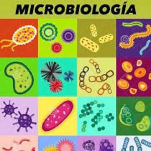 Biología: Microbiología - microfósiles, hongos, tétano, tizones.