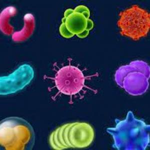 LOS VIRUS