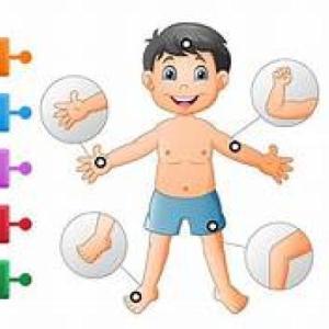 Partes de Cuerpo