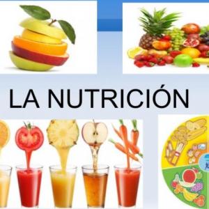 Los Sistemas de la Nutrición