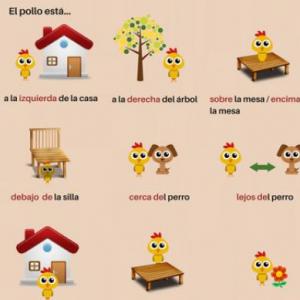 Lee y encuentra la oración correcta 