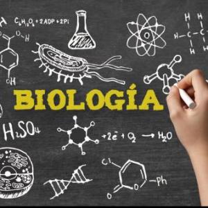 Trabajo Bio Jorge A.