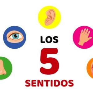 MEMORIA DE LOS 5 SENTIDOS