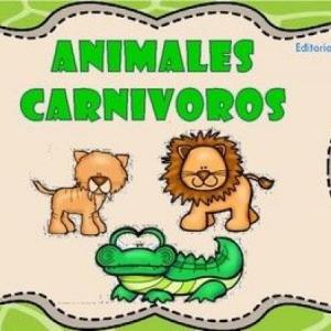 ANIMALES CARNÍVOROS
