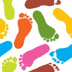 PARTES DEL CUERPO HUMANO