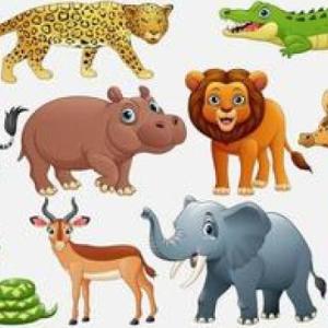 Animales