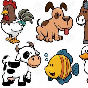 Imagen de portada del videojuego educativo: Reconocer los tipos de animales., de la temática Ciencias