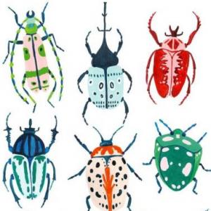 ¿Qué insecto es?