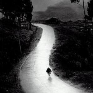Camino Vocacional