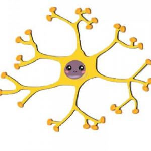 La neurona