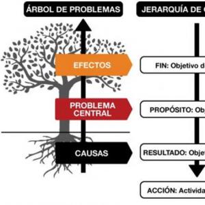 Imagen de portada del videojuego educativo: Árbol de problemas, de la temática Ciencias