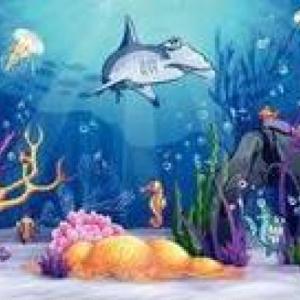 CONOCIENDO LOS ANIMALES