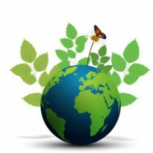 Biodiversidad en todos los rincones 