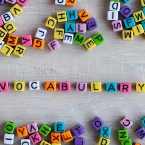 Wings Key Vocabulary