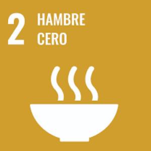 Portada del juego ODS 2 hambre cero – Alimentación