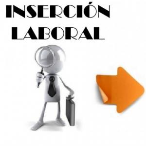 Inserción Laboral