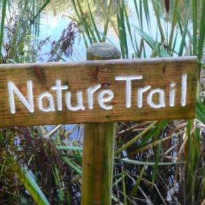 THE NATURE TRAIL