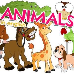 Animalotes