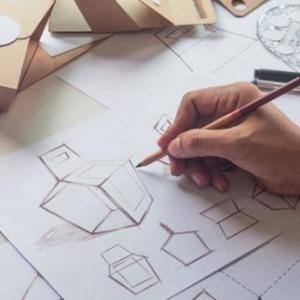 Morfología: Conceptos básicos