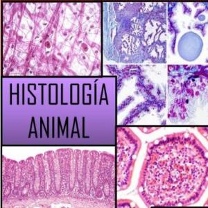 Histología