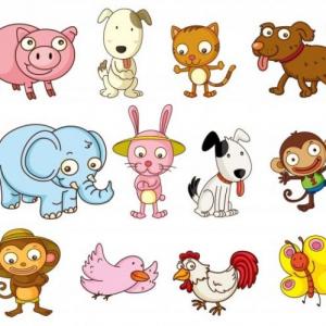 Animals